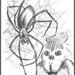 Spider