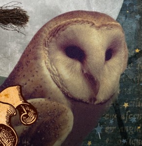 Story Watch: Don't miss these latest publication!